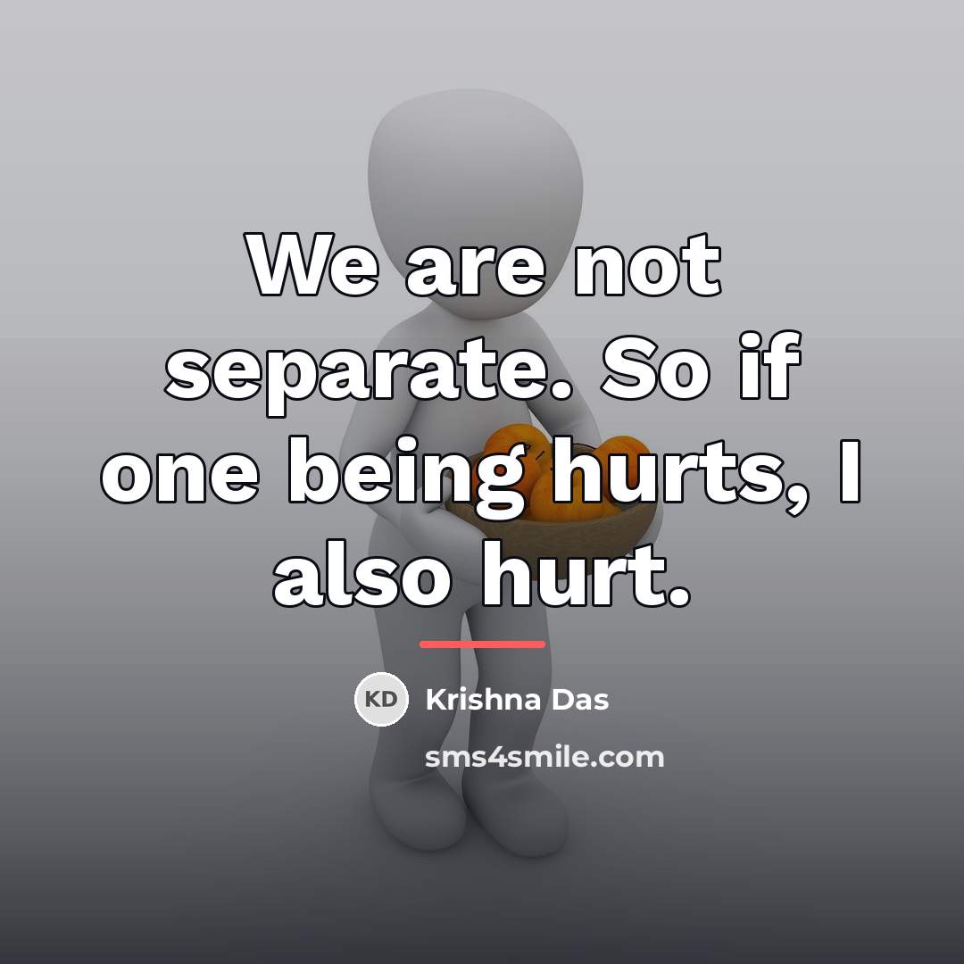 “We are not separate. So if one being hurts, I…” quote by Krishna Das