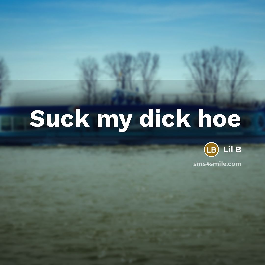 “Suck my dick hoe” quote by Lil B