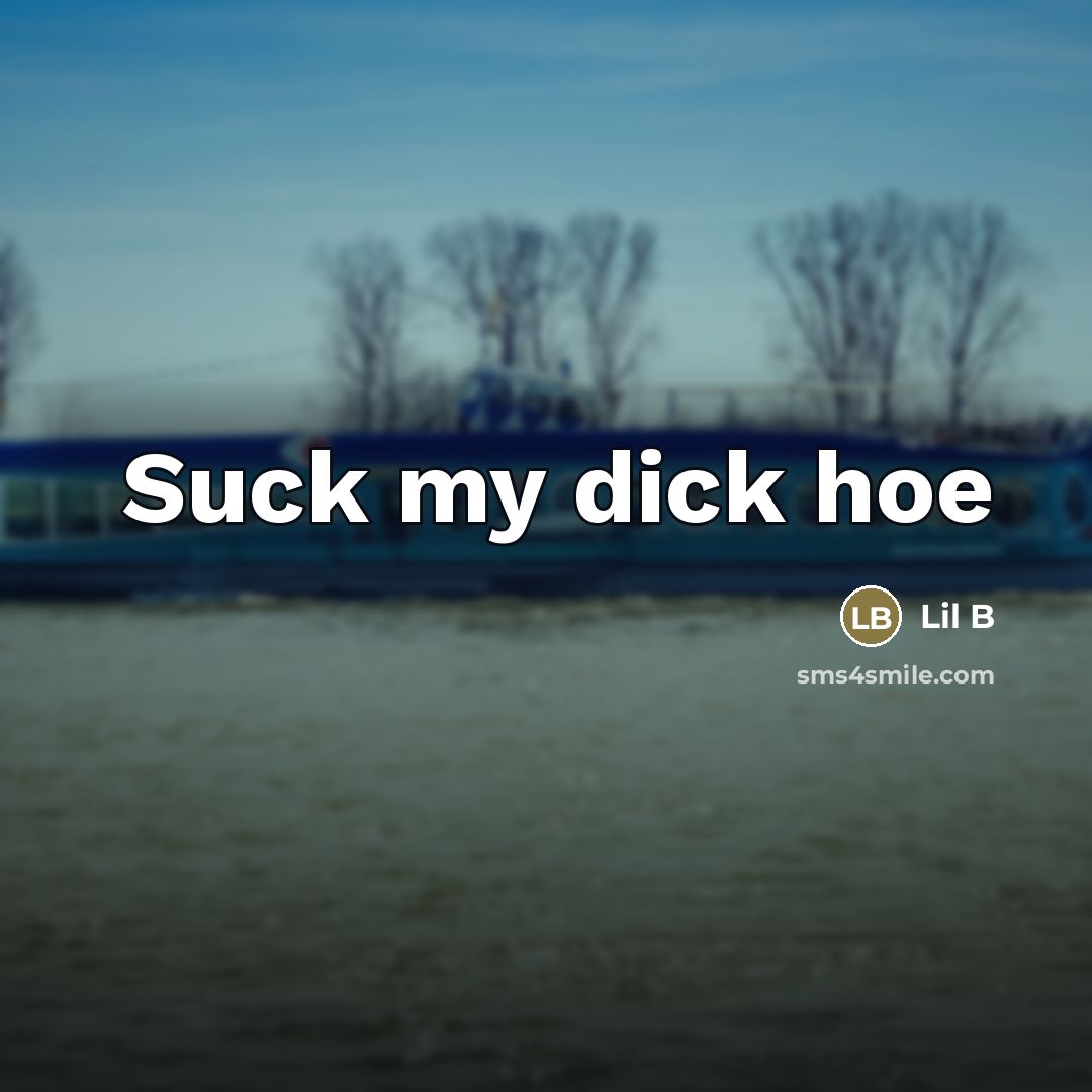 “Suck my dick hoe…” quote by Lil B