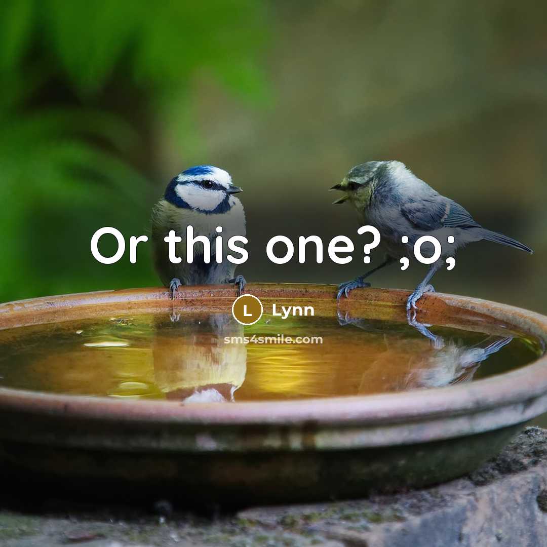 “Or this one? ;o;” quote by Lynn