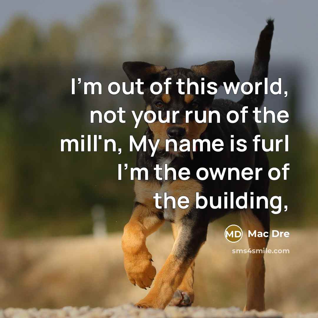 “I'm out of this world, not your run of the…” quote by Mac Dre