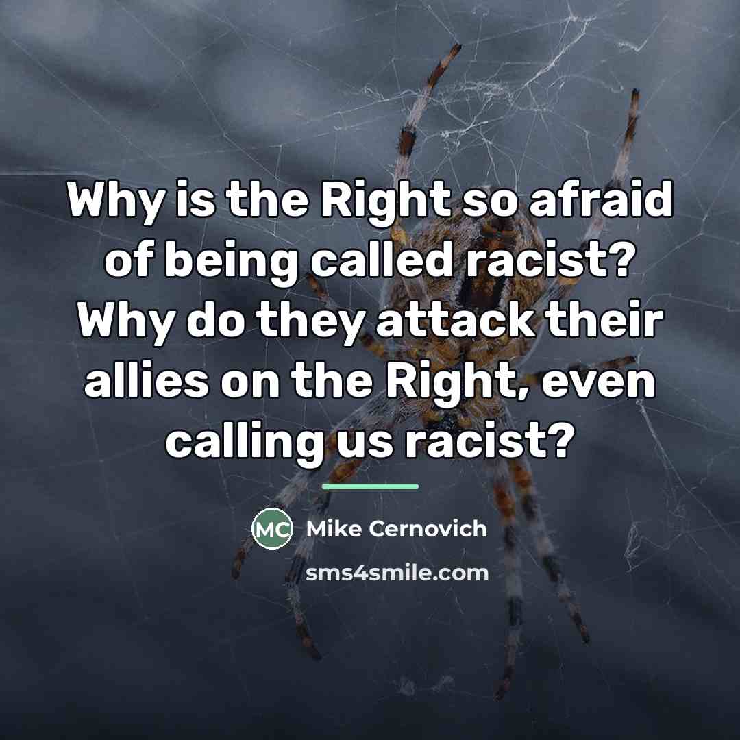 “Why is the Right so afraid of being called racist?…” quote by Mike Cernovich