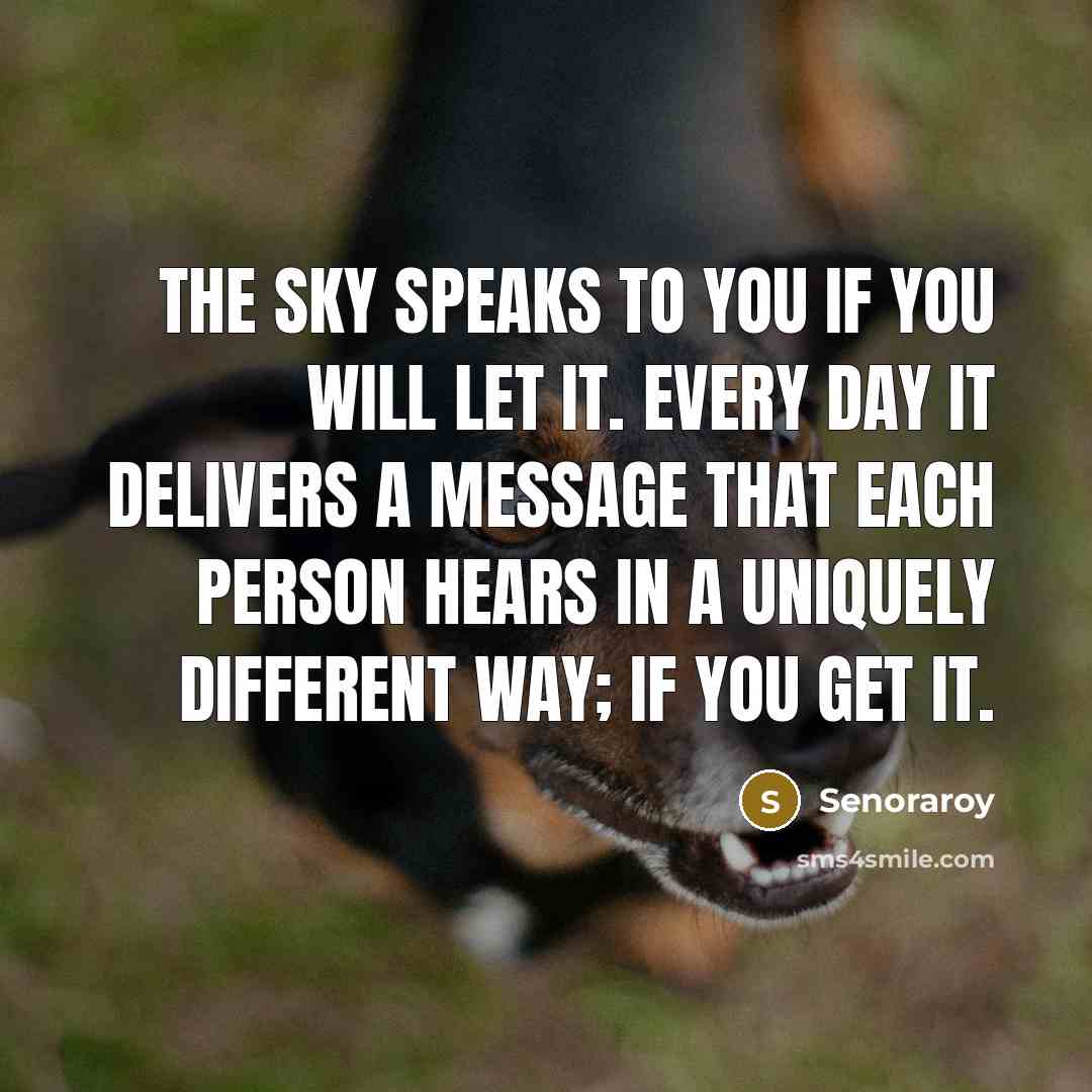 “The sky speaks to you if you will let it.…” quote by Senoraroy