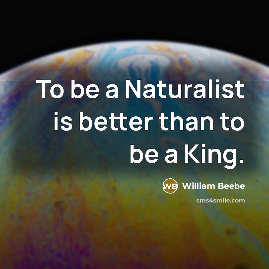 “To be a Naturalist is better than to be a…” quote by William Beebe