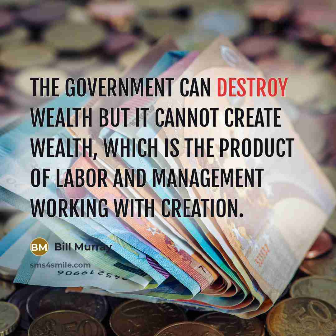 “The government can destroy wealth but it cannot create wealth,…” quote by Bill Murray