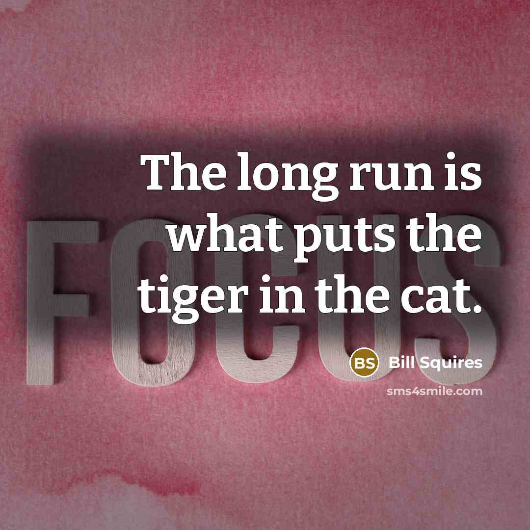 “The long run is what puts the tiger in the…” quote by Bill Squires
