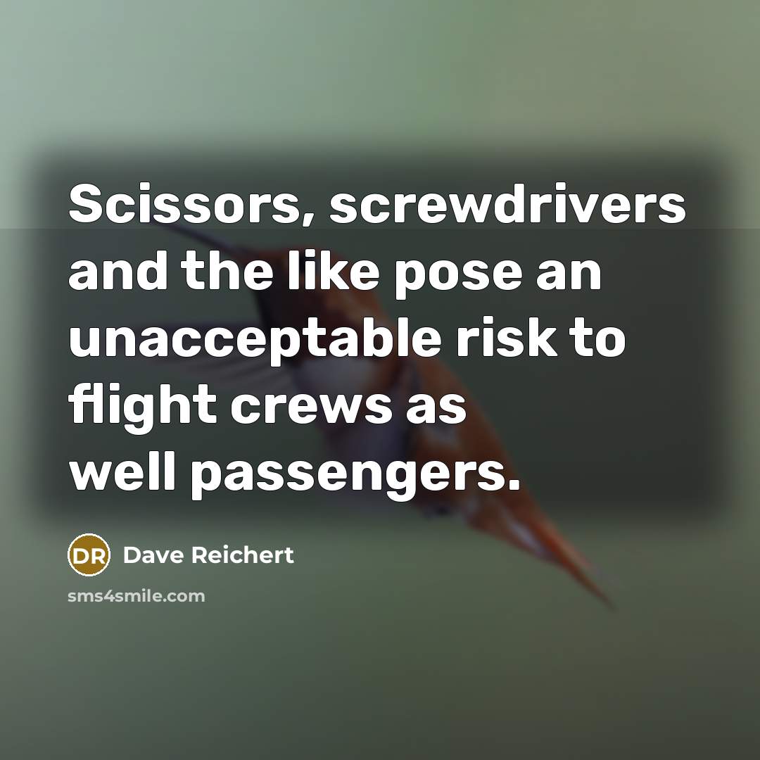 “Scissors, screwdrivers and the like pose an unacceptable risk to…” quote by Dave Reichert