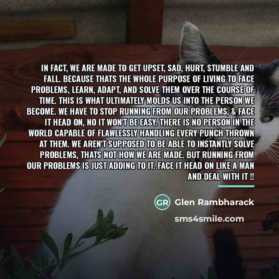 “In fact, we are made to get upset, sad, hurt,…” quote by Glen Rambharack
