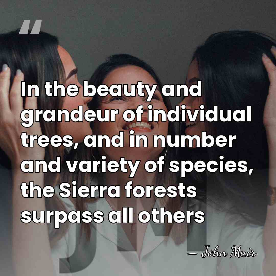 In the beauty and grandeur of individual trees, and in number and&hellip; - John Muir