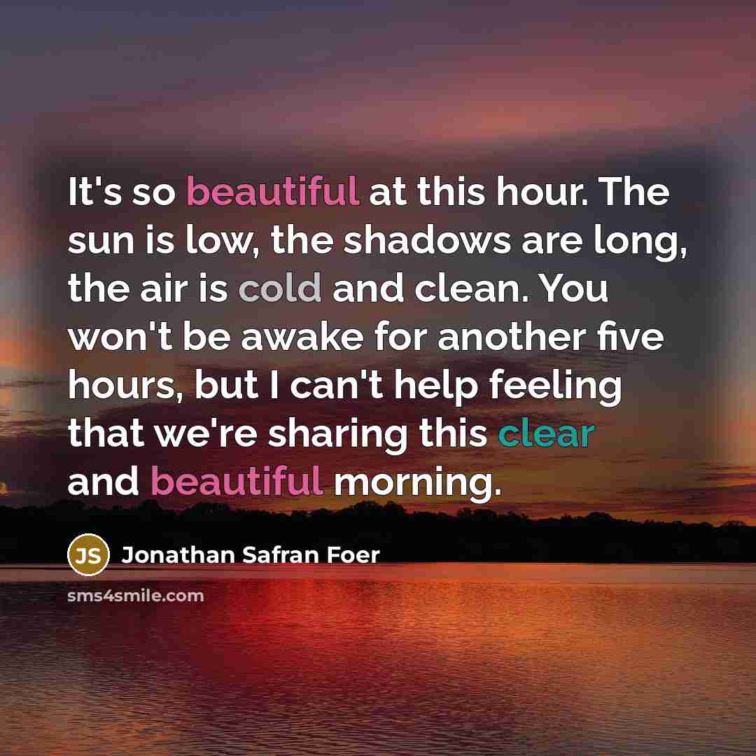 “It's so beautiful at this hour. The sun is low,…” quote by Jonathan Safran Foer