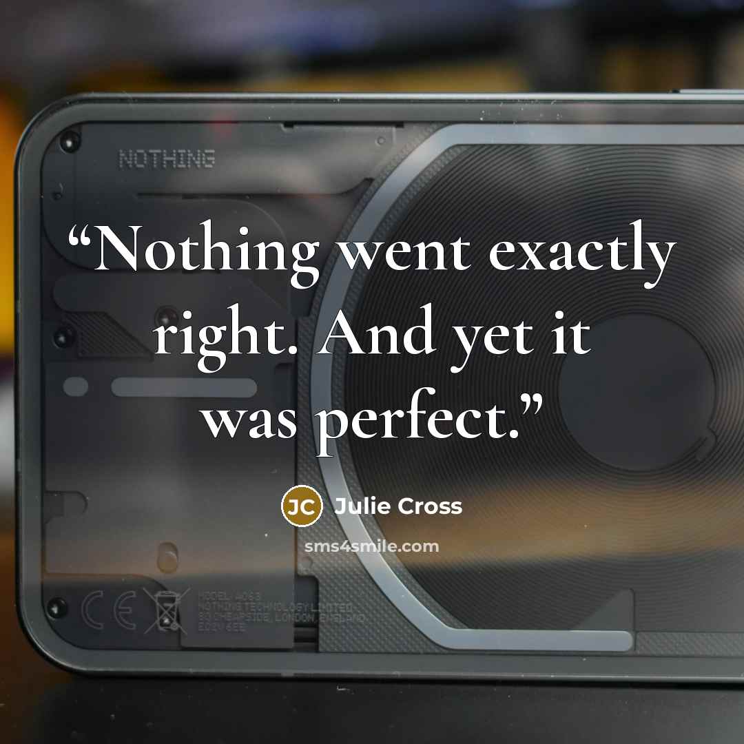 “Nothing went exactly right. And yet it was perfect.” quote by Julie Cross
