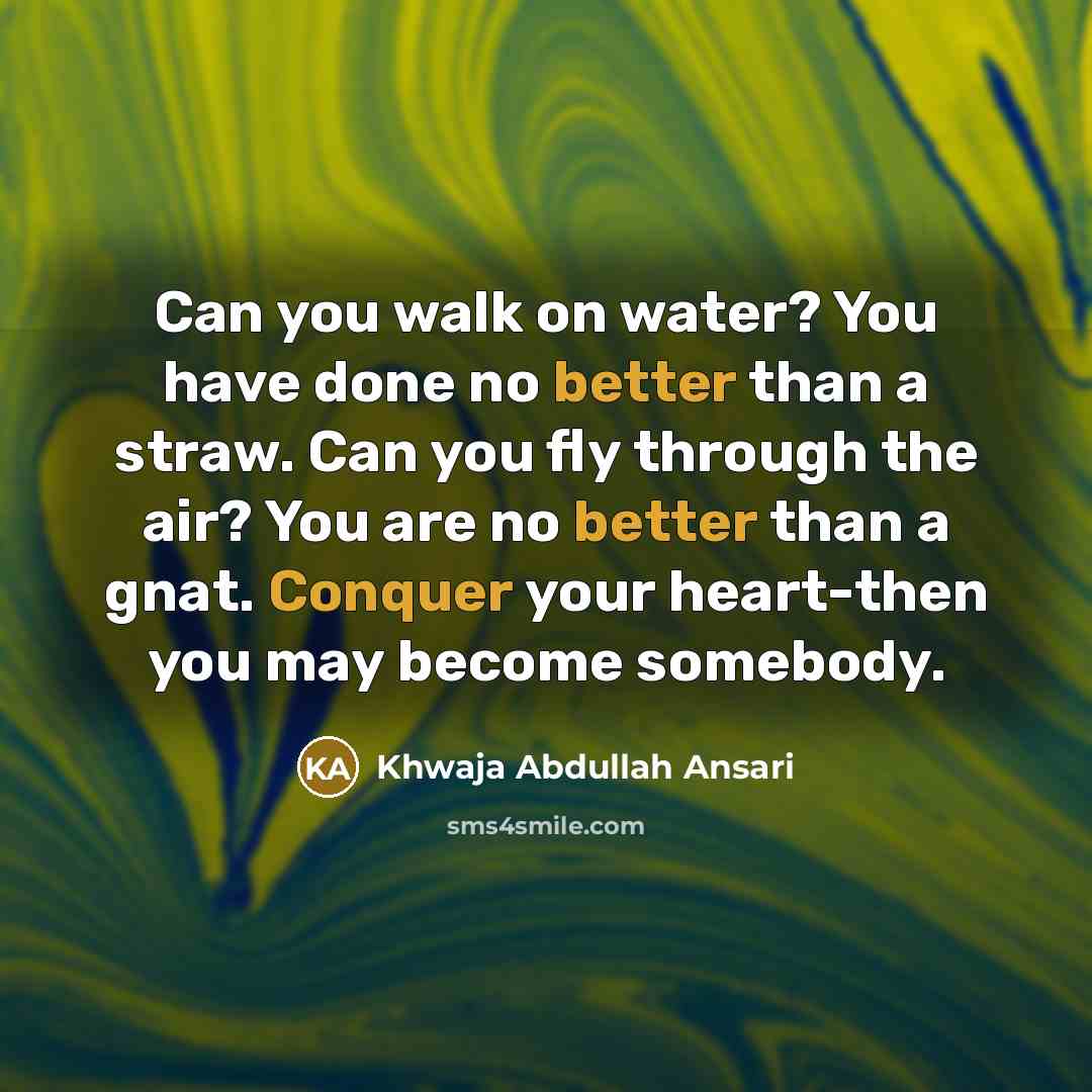 “Can you walk on water? You have done no better…” quote by Khwaja Abdullah Ansari
