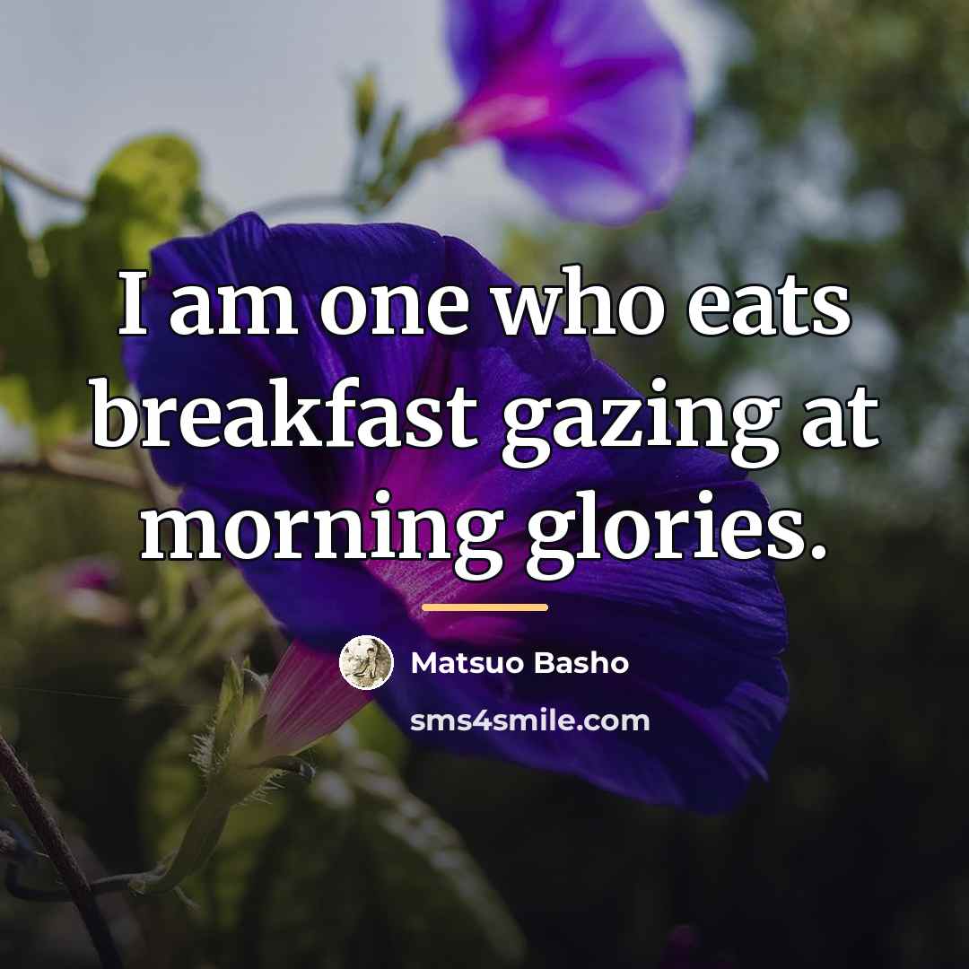 “I am one who eats breakfast gazing at morning glories.…” quote by Matsuo Basho
