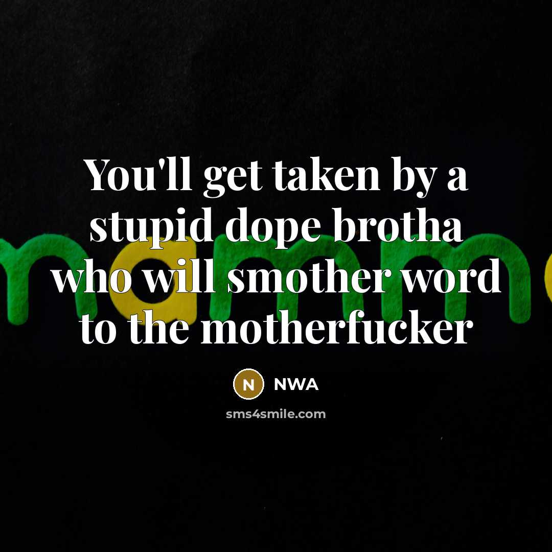 “You'll get taken by a stupid dope brotha who will…” quote by NWA
