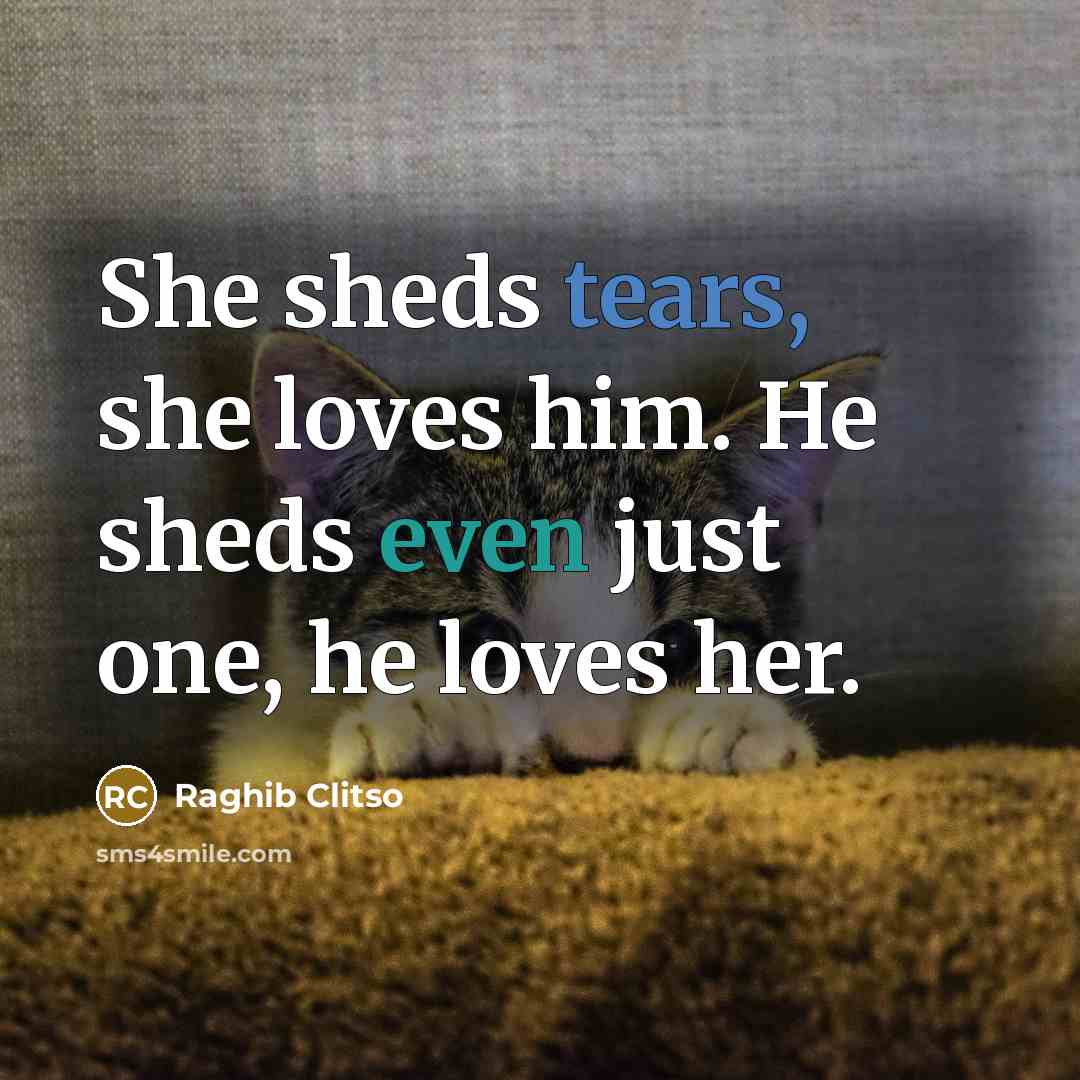 “She sheds tears, she loves him. He sheds even just…” quote by Raghib Clitso