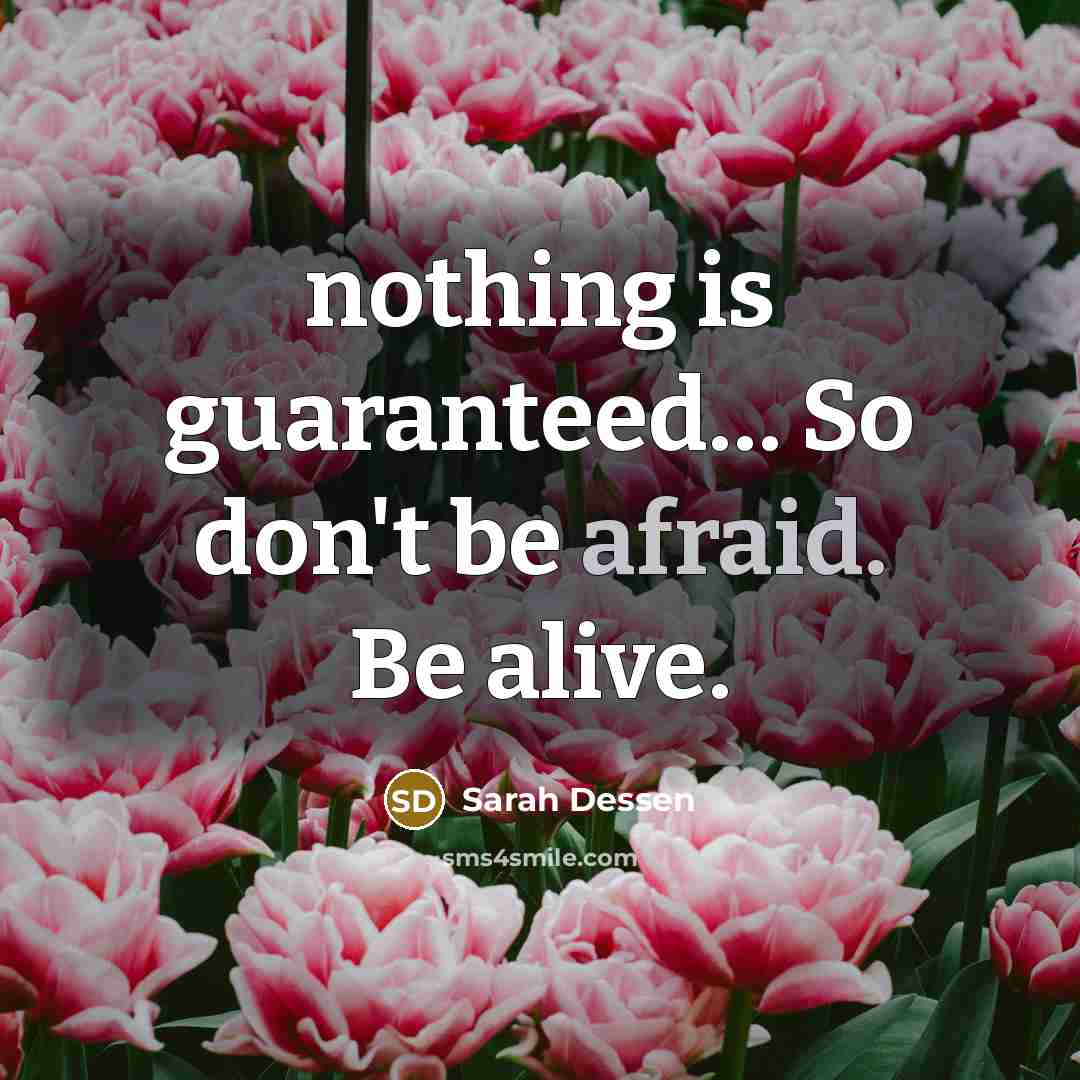 “nothing is guaranteed.... So don't be afraid. Be alive.…” quote by Sarah Dessen