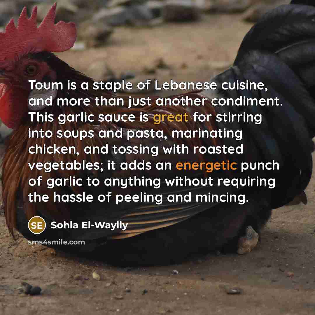 “Toum is a staple of Lebanese cuisine, and more than…” quote by Sohla El-Waylly