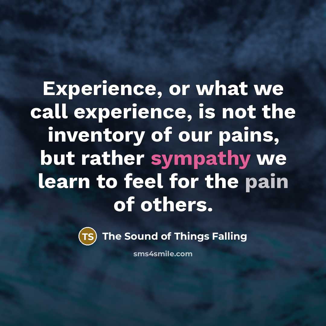 “Experience, or what we call experience, is not the inventory of our pains, but rather sympathy we learn to feel for the pain of others.” quote by The Sound of Things Falling