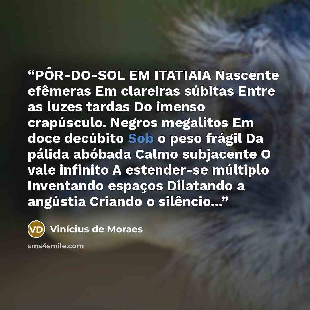 “PÔR-DO-SOL EM ITATIAIA Nascente efêmeras Em clareiras súbitas Entre as luzes tardas Do imenso crapúsculo. Negros megalitos Em doce decúbito Sob o peso frágil Da pálida abóbada Calmo subjacente O vale infinito A estender-se múltiplo Inventando espaços Dilatando a angústia Criando o silêncio...” quote by Vinicius de Moraes