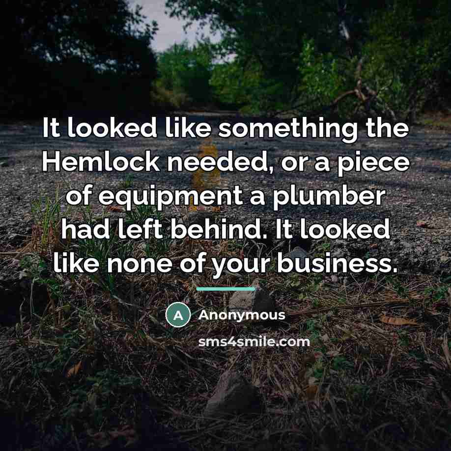 “It looked like something the Hemlock needed, or a piece…” quote by Anonymous