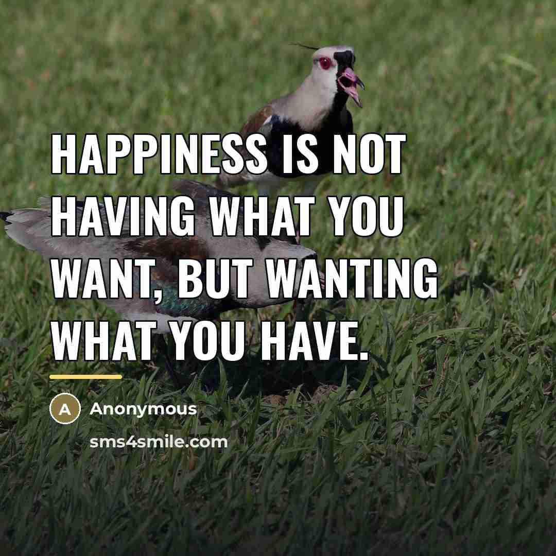 “Happiness is not having what you want, but wanting what…” quote by Anonymous