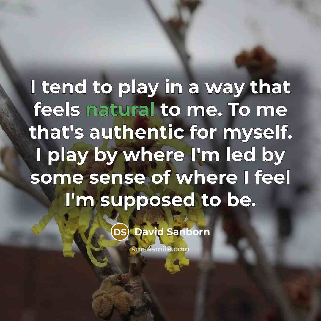 “I tend to play in a way that feels natural to me. To me that's authentic for myself. I play by where I'm led by some sense of where I feel I'm supposed to be.” quote by David Sanborn
