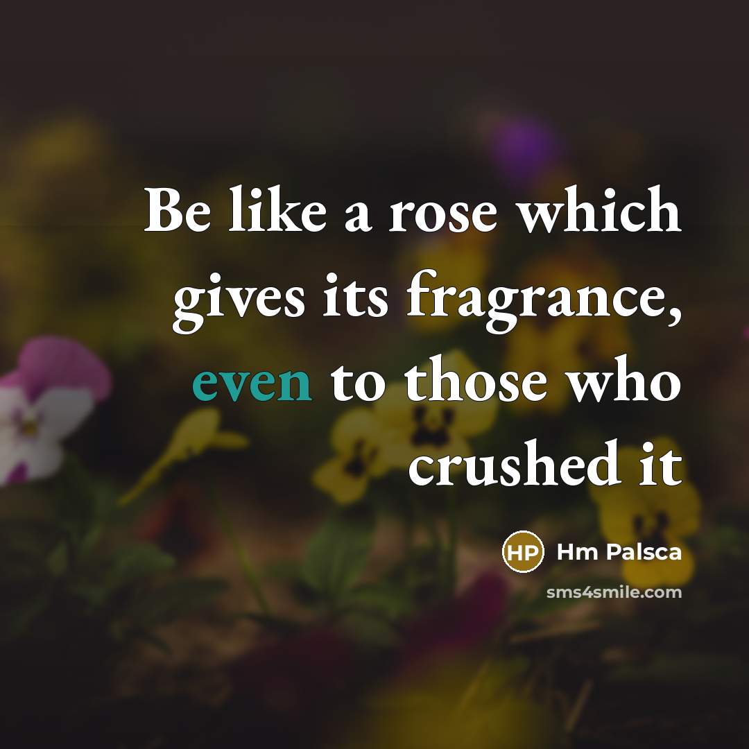 “Be like a rose which gives its fragrance, even to…” quote by Hm Palsca