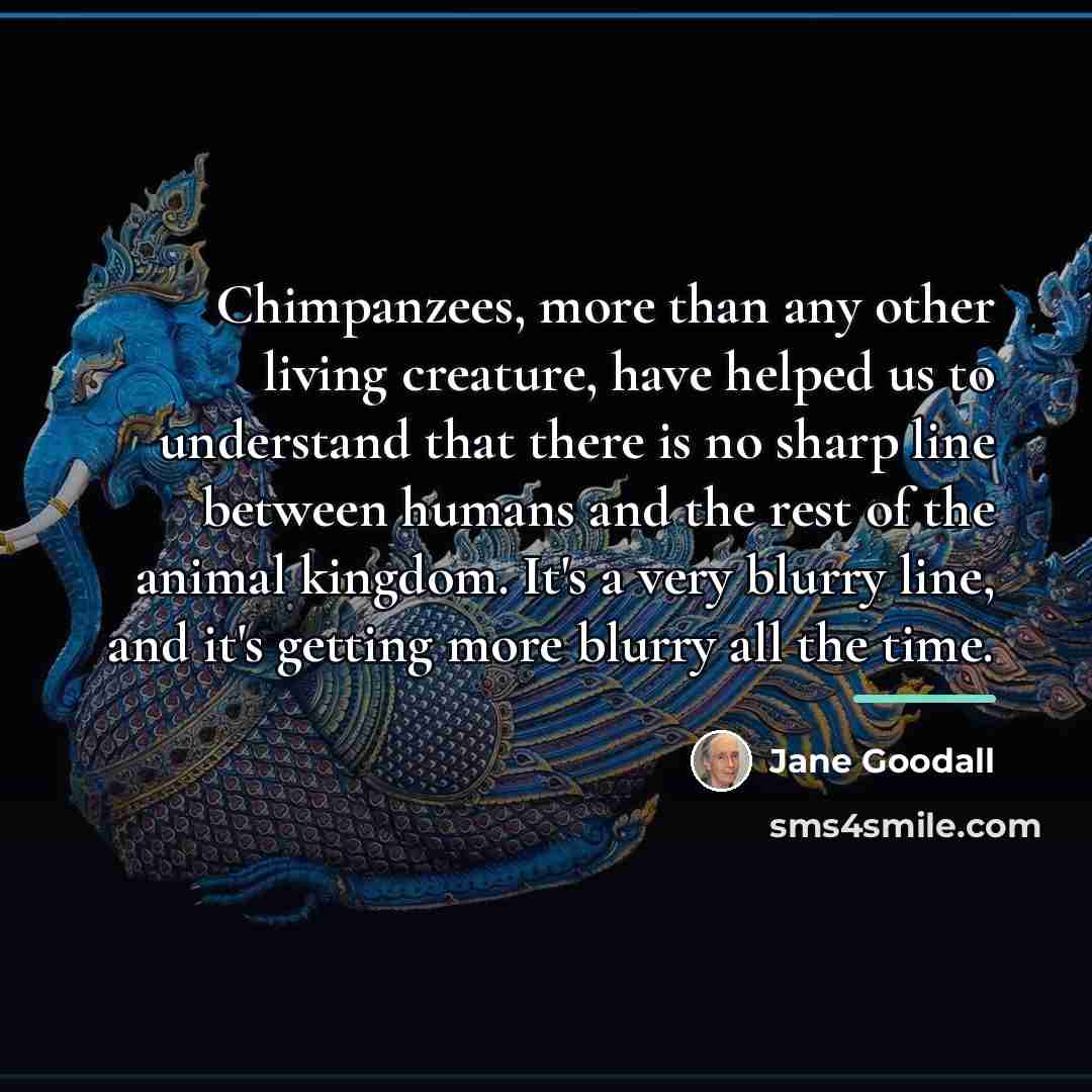 “Chimpanzees, more than any other living creature, have helped us…” quote by Jane Goodall