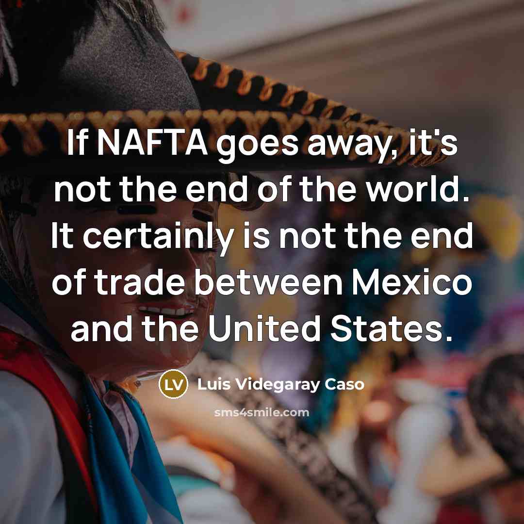 “If NAFTA goes away, it's not the end of the…” quote by Luis Videgaray Caso