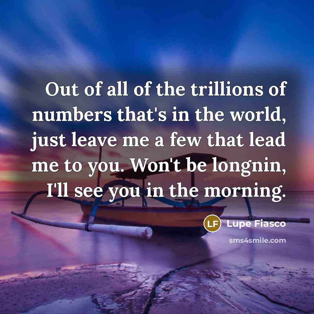 “Out of all of the trillions of numbers that's in…” quote by Lupe Fiasco
