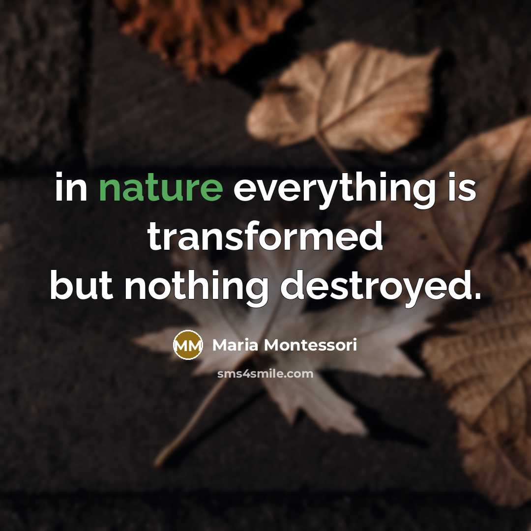 “in nature everything is transformed but nothing destroyed.…” quote by Maria Montessori