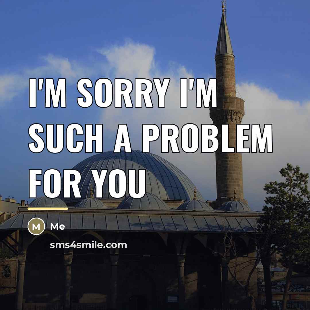 “I'm sorry I'm such a problem for you…” quote by Me