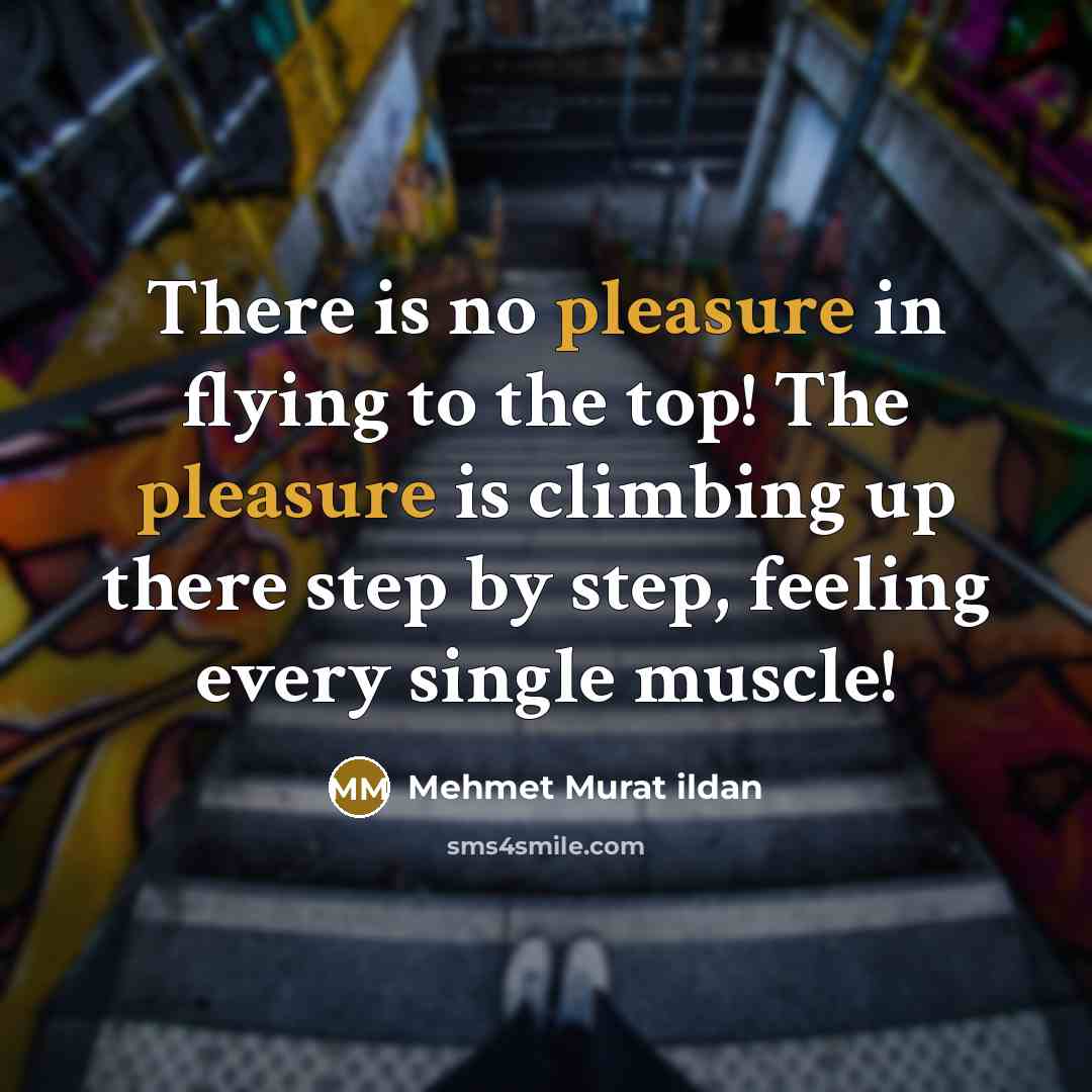 “There is no pleasure in flying to the top! The…” quote by Mehmet Murat Ildan
