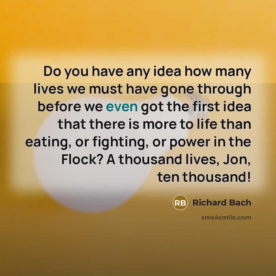 “Do you have any idea how many lives we must…” quote by Richard Bach