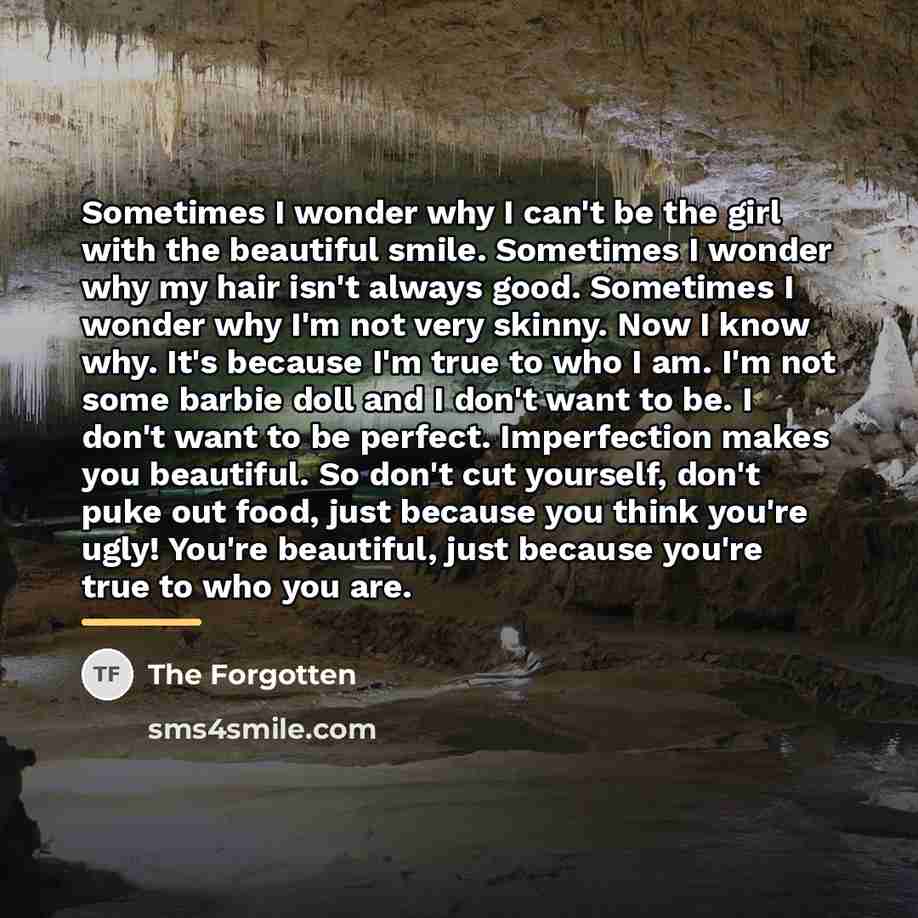 “Sometimes I wonder why I can't be the girl with…” quote by The Forgotten