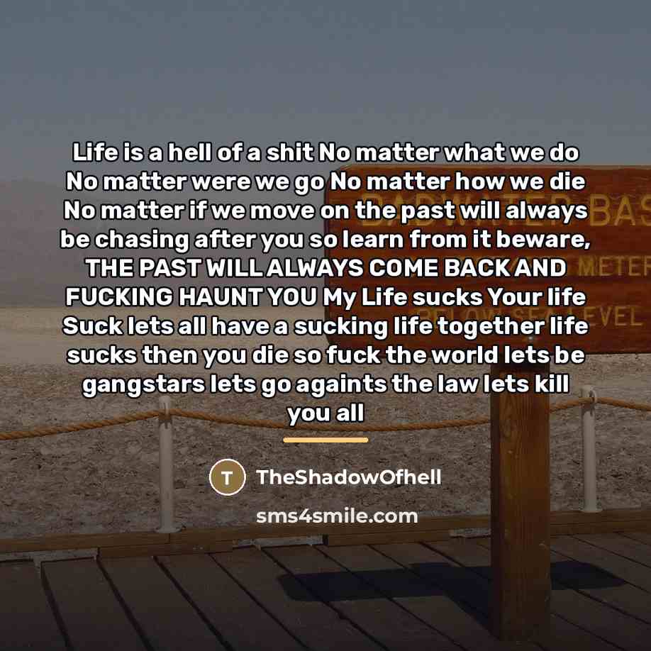 “Life is a hell of a shit No matter what…” quote by TheShadowOfhell
