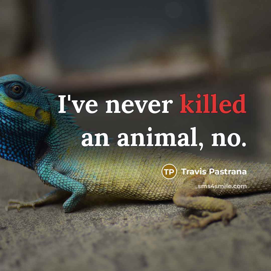 “I've never killed an animal, no.…” quote by Travis Pastrana