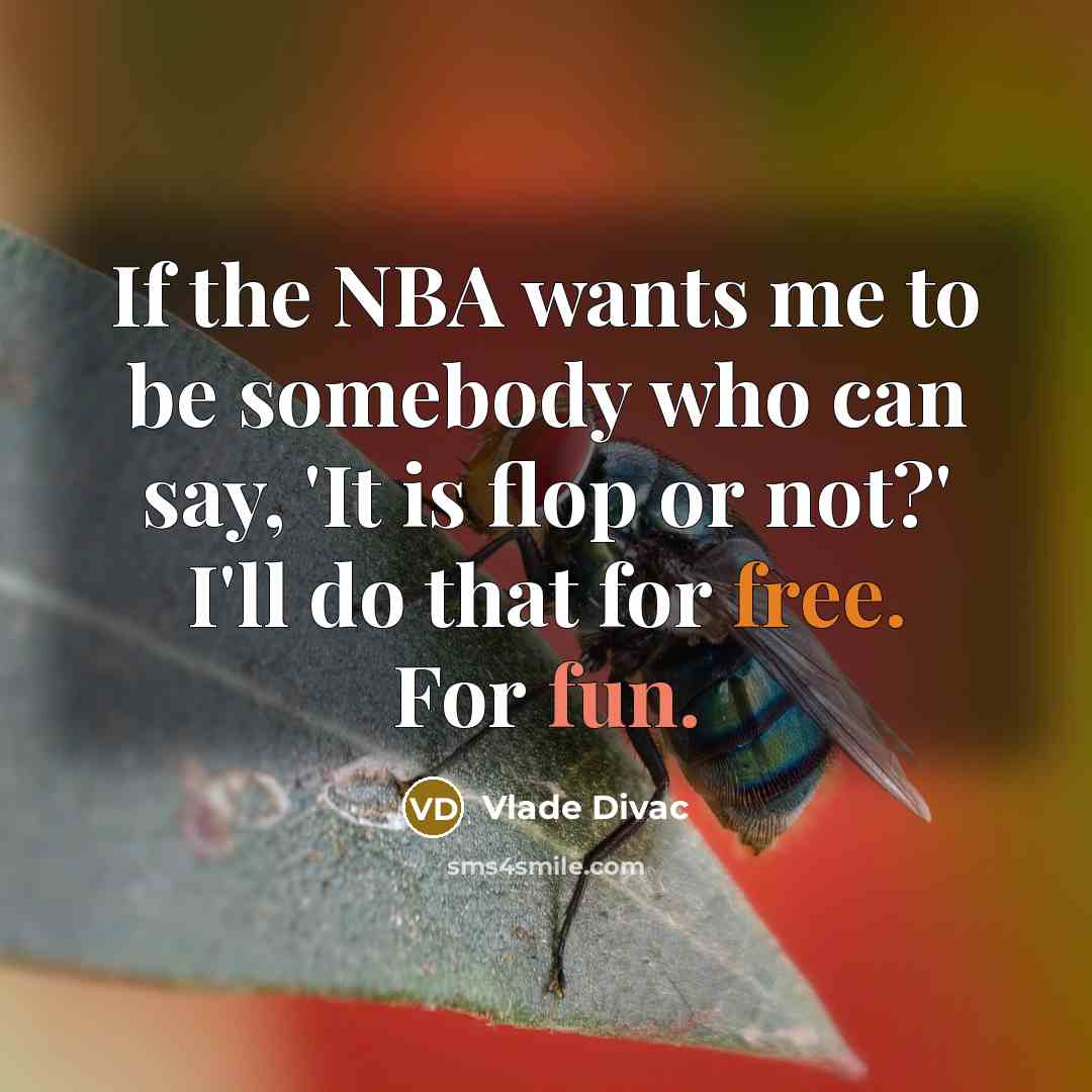 “If the NBA wants me to be somebody who can say, 'It is flop or not?' I'll do that for free. For fun.” quote by Vlade Divac