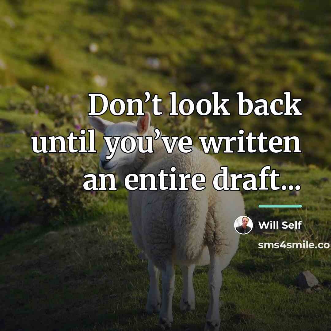“Don’t look back until you’ve written an entire draft...…” quote by Will Self