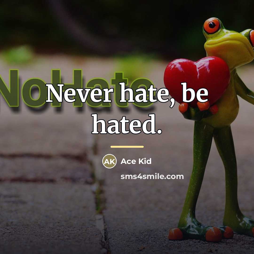 “Never hate, be hated.…” quote by Ace Kid
