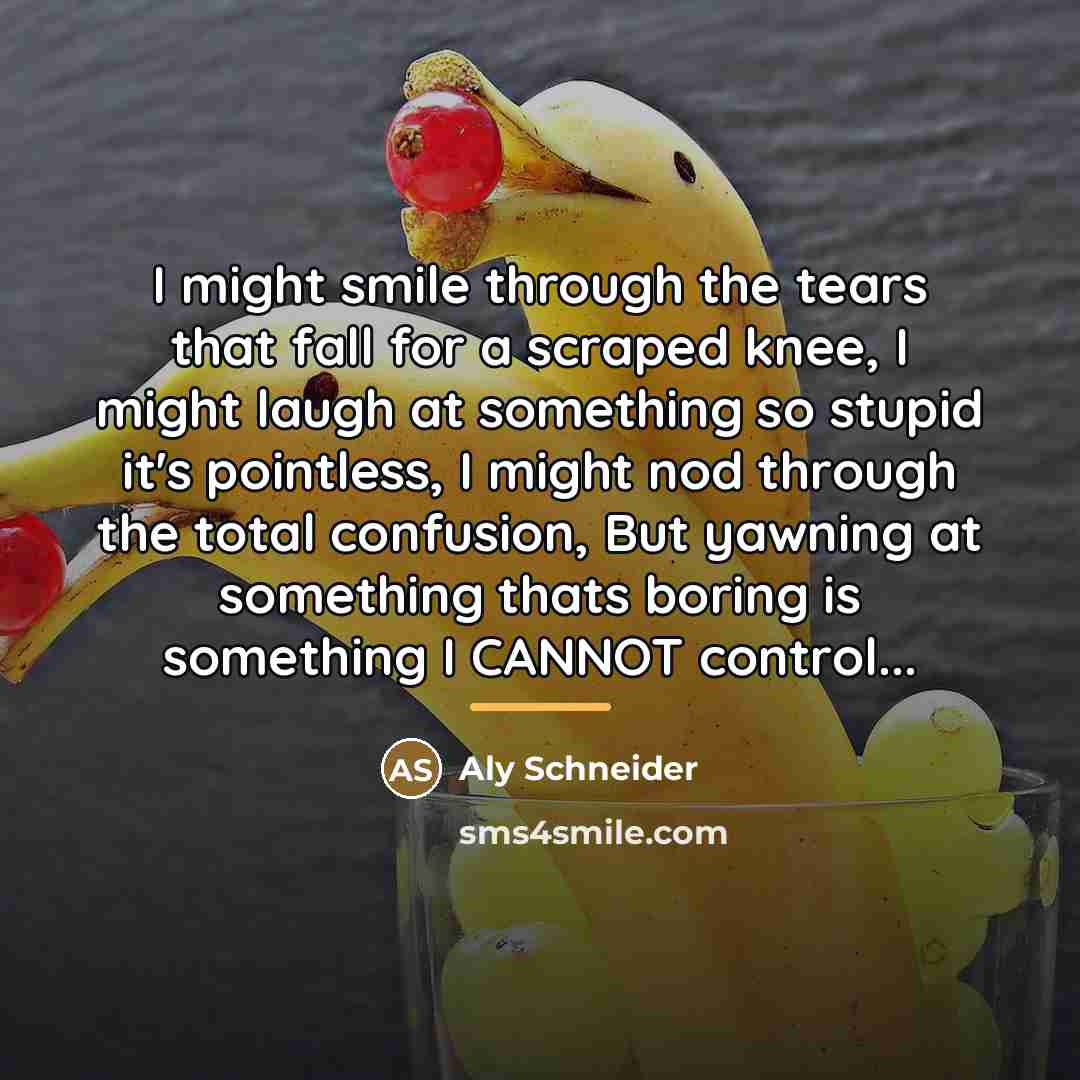 “I might smile through the tears that fall for a…” quote by Aly Schneider