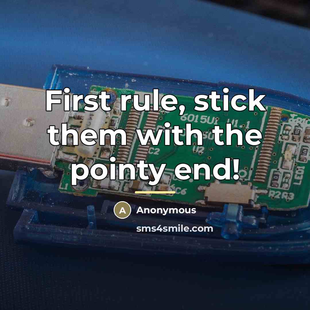 “First rule, stick them with the pointy end!…” quote by Anonymous