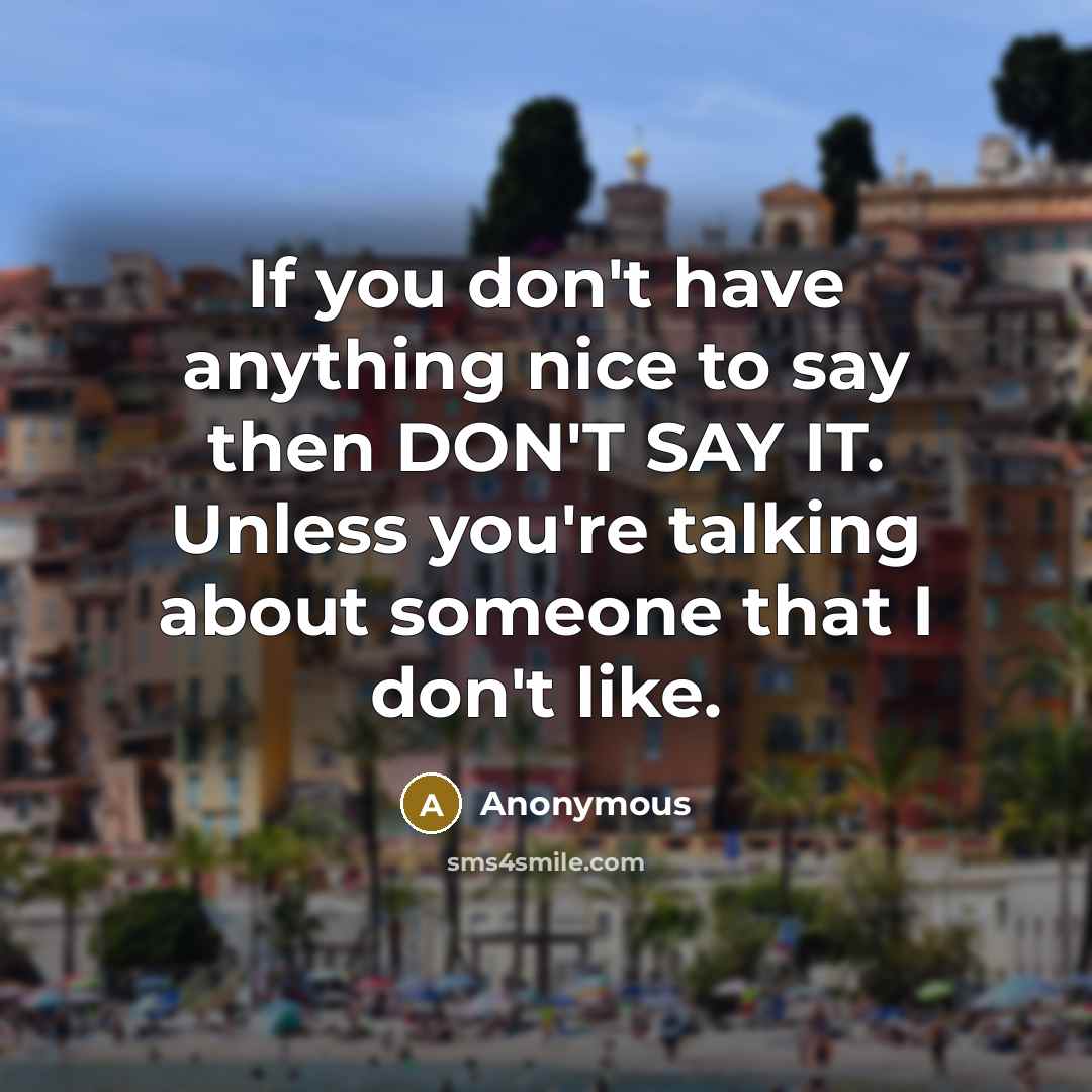 “If you don't have anything nice to say then DON'T SAY IT. Unless you're talking about someone that I don't like.” quote by Anonymous