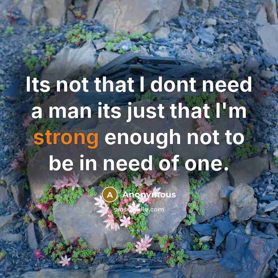 “Its not that I dont need a man its just that I'm strong enough not to be in need of one.” quote by Anonymous