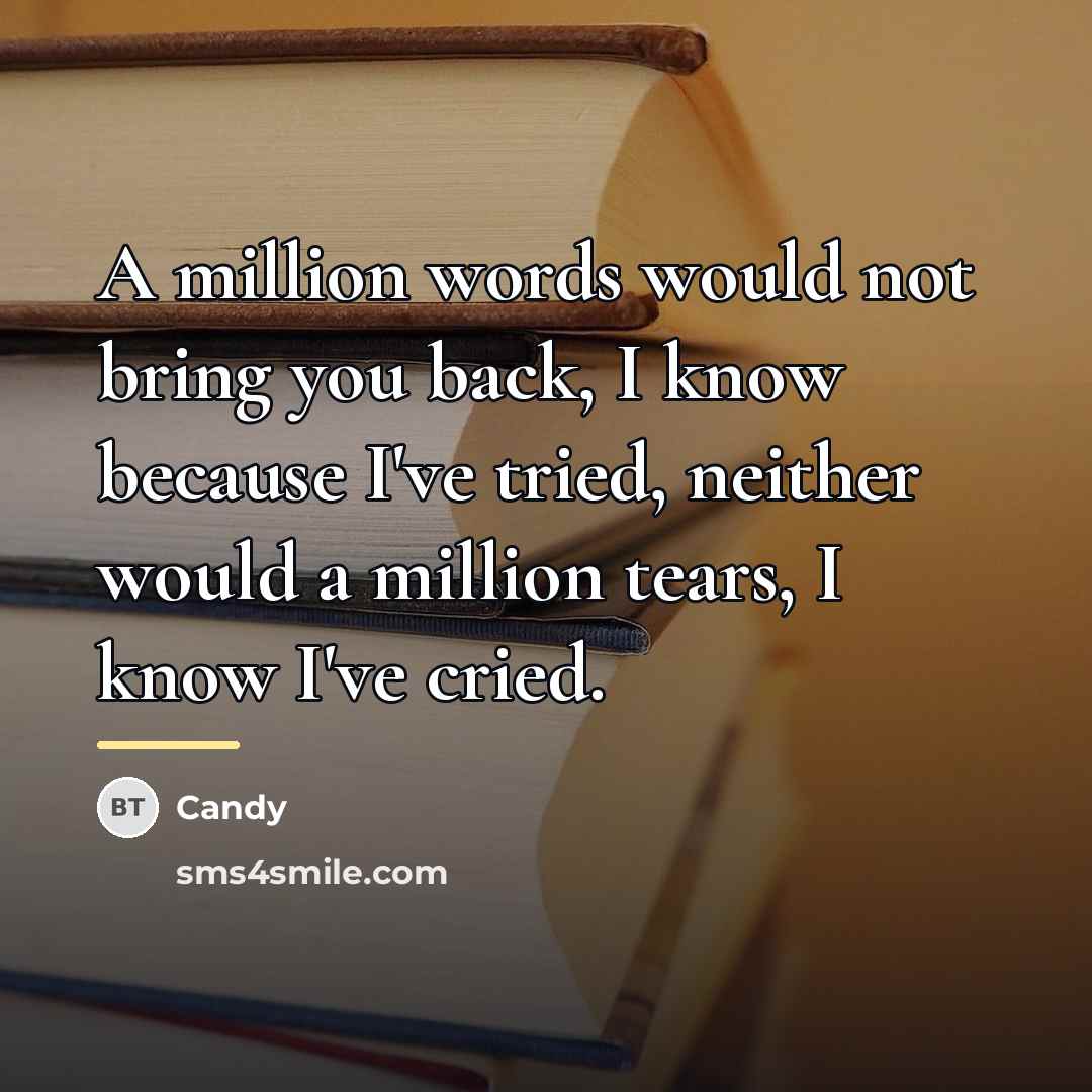 “A million words would not bring you back, I know…” quote by CANDY