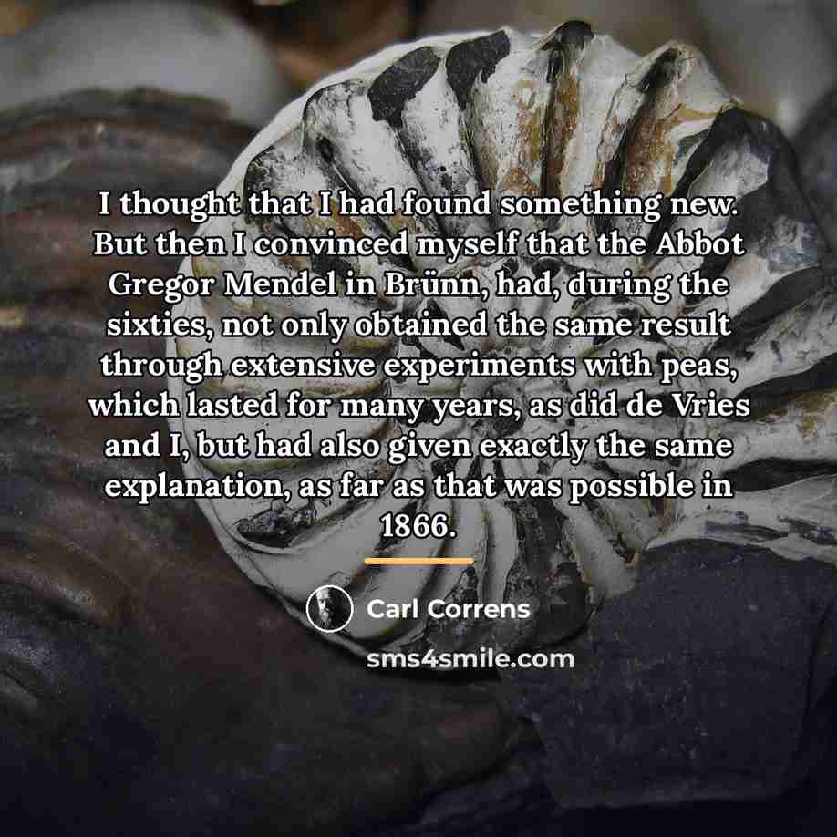 “I thought that I had found something new. But then…” quote by Carl Correns