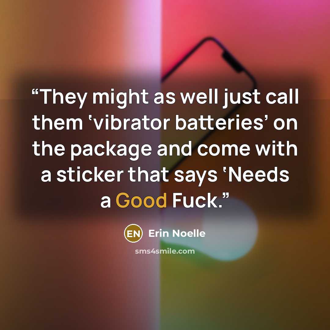 “They might as well just call them ‘vibrator batteries’ on the package and come with a sticker that says ‘Needs a Good Fuck.” quote by Erin Noelle