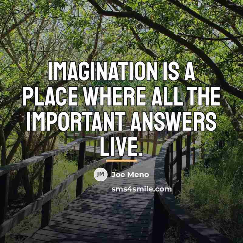 “Imagination is a place where all the important answers live.…” quote by Joe Meno