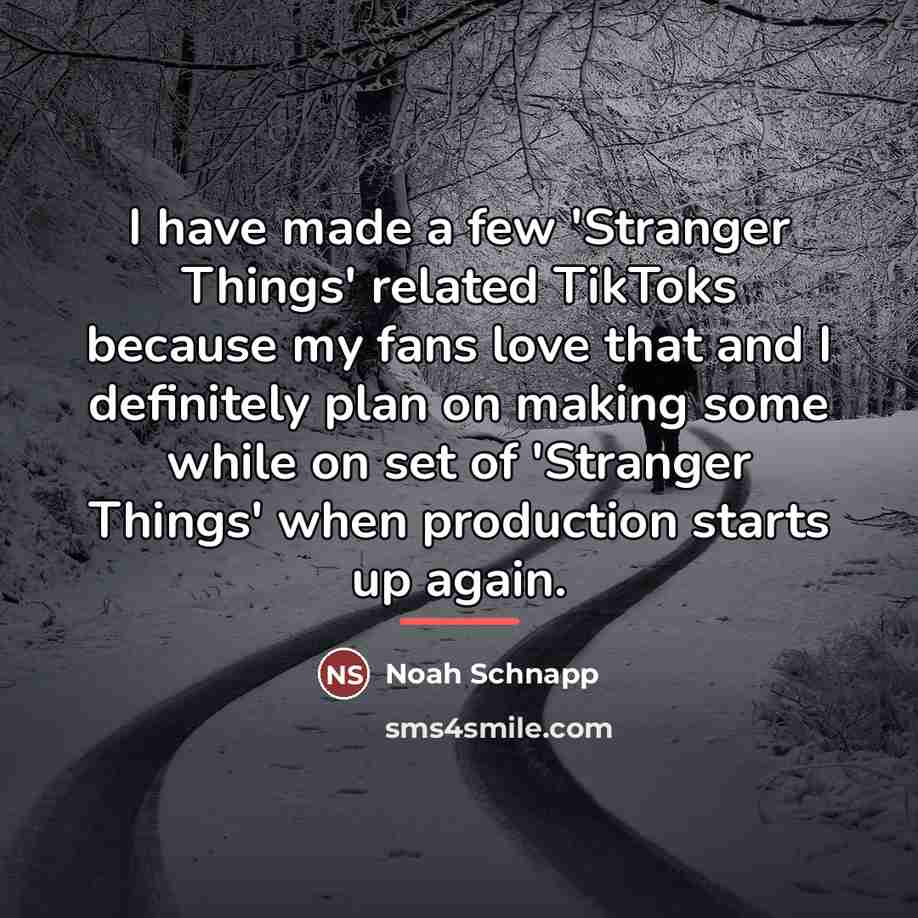 “I have made a few 'Stranger Things' related TikToks because…” quote by Noah Schnapp