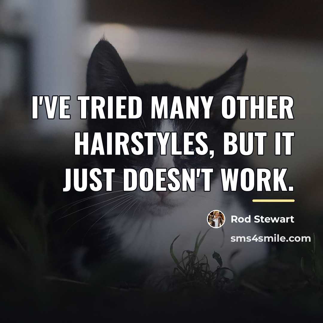 “I've tried many other hairstyles, but it just doesn't work.…” quote by Rod Stewart